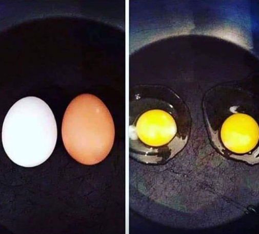 Foto van een eitje (racisme)